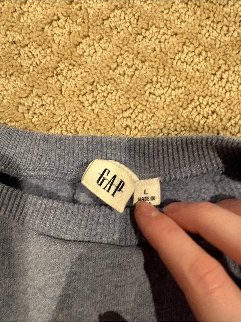 GAP Blue/purple Crewneck Sweater